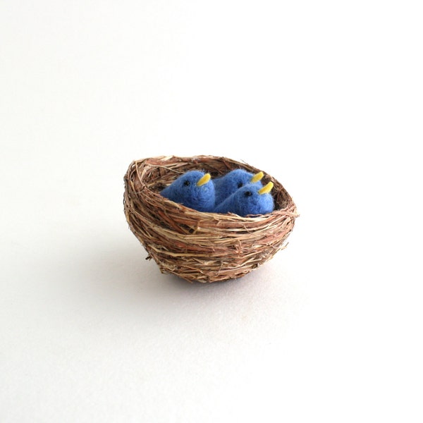 Three Needle Felted Baby Bluebirds in a Nest