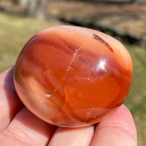 Pietra di palma in corniola, pietra di corniola curativa lucidata