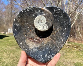 Ammonite Orthoceras Fossil Dish - Heart Shaped Dish