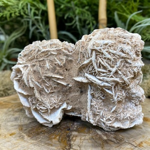 Desert Rose Selenite Cluster Specimen - Moroccan Selenite