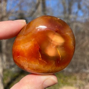 Pietra di palma corniola - Pietra di guarigione corniola lucidata