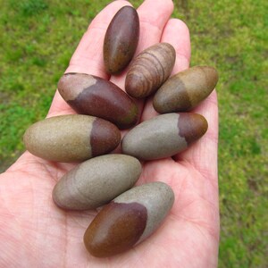 Shiva Lingam Egg Narmada River Stones Fertility Stone Etsy