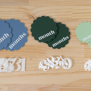 Ausgebogter Kreis Acryl austauschbare monatliche Meilensteinmarker | Neugeborenen Geschenk Babyparty | 1 Monat-1 Jahr Meilenstein Marker Photo Prop Bild 5