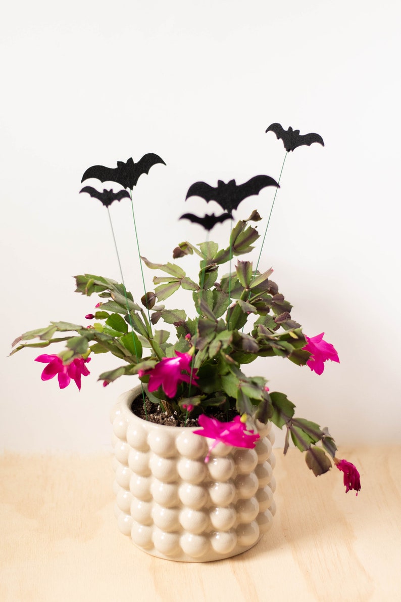 Felt Bat House Plant Stakes for Cute Halloween Decor image 3