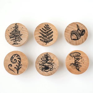 Op de afbeelding: Zes ronde houten stempels met verschillende natuurthema-ontwerpen. De ontwerpen omvatten een dennenboom, een varen, een eikel, een paddenstoel, een varenblad en een dennenappel.