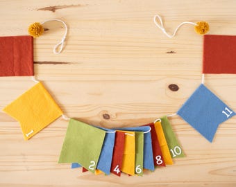 CUSTOM First Birthday Milestone Photo Banner - 12 Month Birthday Party Decoration