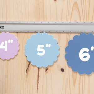 Ausgebogter Kreis Acryl austauschbare monatliche Meilensteinmarker | Neugeborenen Geschenk Babyparty | 1 Monat-1 Jahr Meilenstein Marker Photo Prop Bild 4