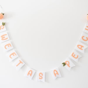 Peach Geburtstagsbanner mit rosa PomPoms | Ein süßer Pfirsich, süß wie ein Pfirsich