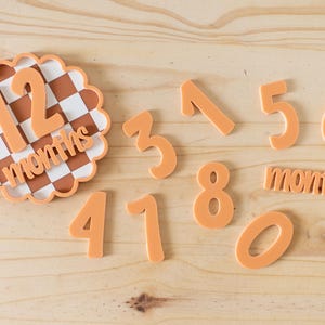 Marcador de hitos mensuales acrílico intercambiable con círculos festoneados a cuadros para baby shower de recién nacidos, accesorio fotográfico de 1 a 12 meses