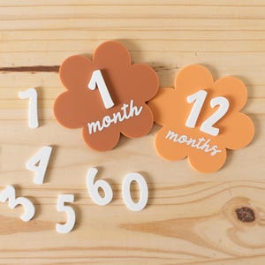 Marcadores de hitos mensuales intercambiables de acrílico Daisy / Regalo para baby shower / Marcadores de hitos de 1 mes a 1 año / Accesorio fotográfico para bebé