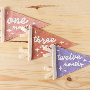 Banderín de fieltro para hitos mensuales, regalo para baby shower, de 1 mes a 1 año, accesorio fotográfico para bebé.
