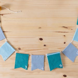 Banner fotográfico personalizado para el primer cumpleaños - Decoración para fiesta de 12 meses