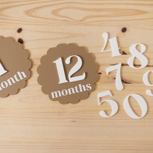 Ausgebogter Kreis Acryl austauschbare monatliche Meilensteinmarker | Neugeborenen Geschenk Babyparty | 1 Monat-1 Jahr Meilenstein Marker Photo Prop Bild 7