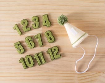Personalized Felt Baby Mini Monthly Birthday Interchangeable Number Hat with Pom Pom