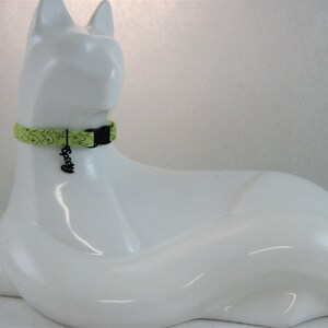 May include: A lime green cat collar with a black plastic buckle and a black charm that says "Spooky". The collar has a repeating pattern of black stars and crescent moons.