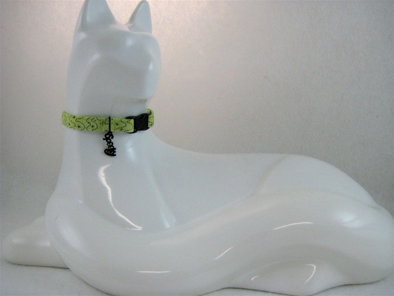 May include: A lime green cat collar with a black plastic buckle and a black charm that says "Spooky". The collar has a repeating pattern of black stars and crescent moons.