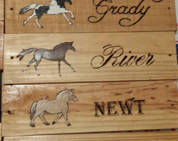 Personalized Custom Horse Stall Sign Wood Burnt Painted to Match Your