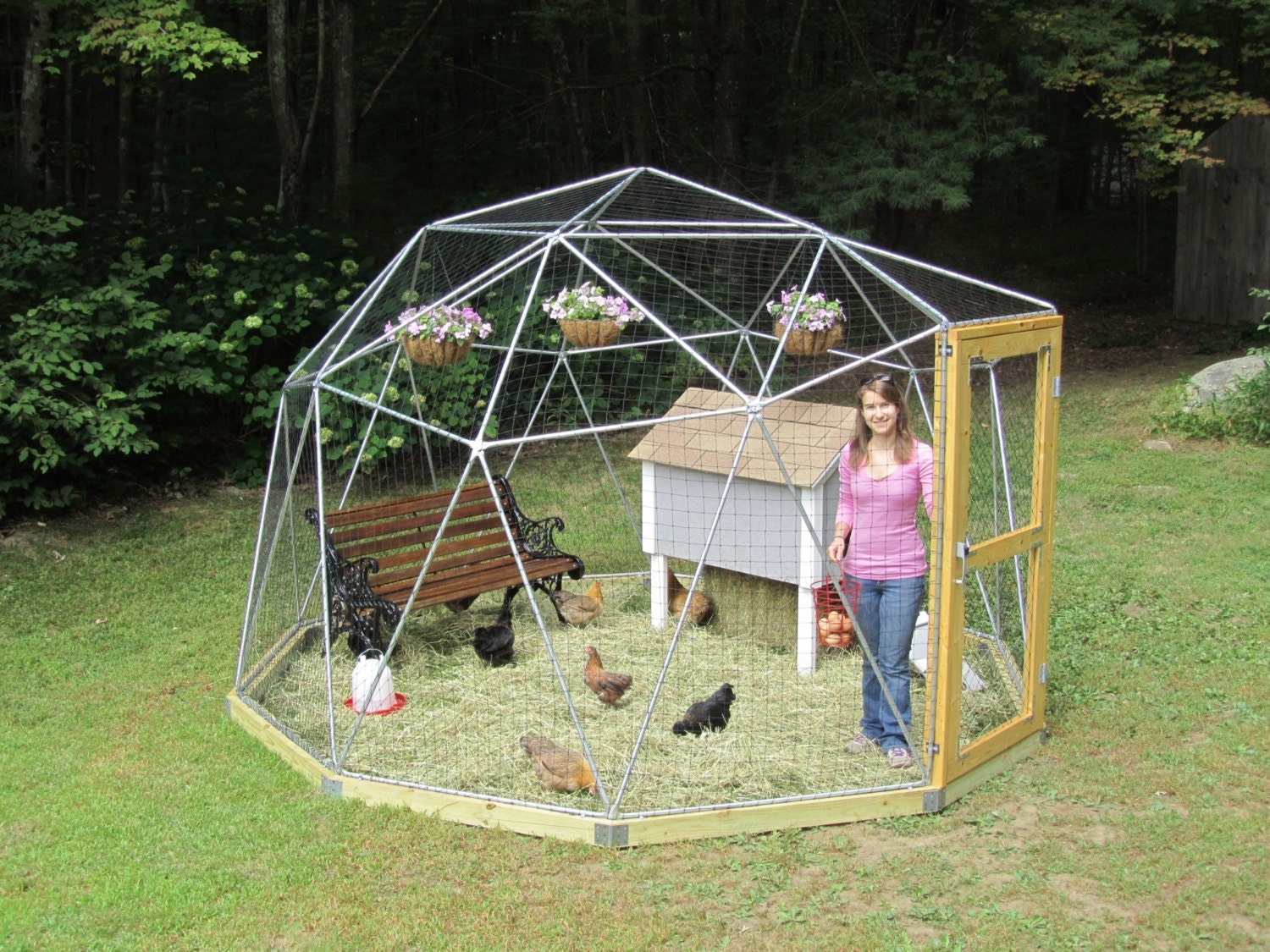 View of 12 Ft Geodesic Dome Outdoor Aviary, Chicken Enclosure, Animal Pen ...