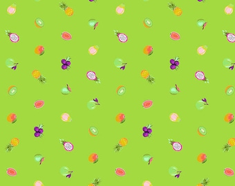 Free Spirit Tula Pink - Fruit Snacks - PWTP175.KIWI