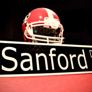Sanford Drive Street Sign // Athens, GA // 6&quot; x 24&quot; UGA Metal Street Sign, University of Georgia Decor
