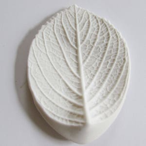 1 Leaf Veiner~Cake~Gumpaste~Fondant~Cold Porcelain~Termoformar~Goma Eva