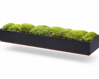 Preserved Pillow Moss and Stainless-Steel Planter Centerpiece