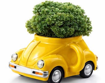 Volkswagen Beetle Succulent Arrangement - Choose Blue, Light Gray, Dark Gray, Red or Yellow