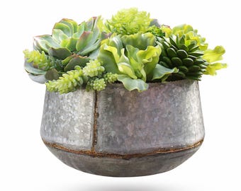 Faux Succulents in Shades of Green 12" Galvanized Beaded Planter
