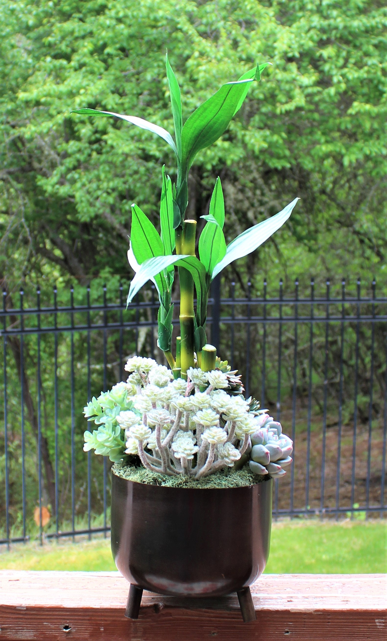 Artificial Lucky Bamboo and Succulents Planted in Etsy