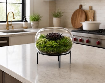 Mixed Succulent Terrarium Artificial Plants with Stand