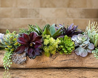 Cement Concrete Driftwood Log Planter with Artificial Succulents