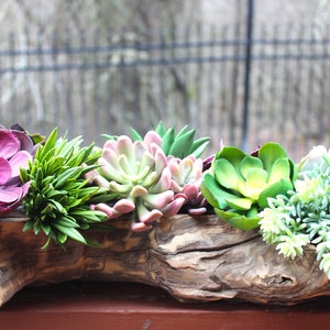 Large Driftwood Planter with Premium Artificial Succulents