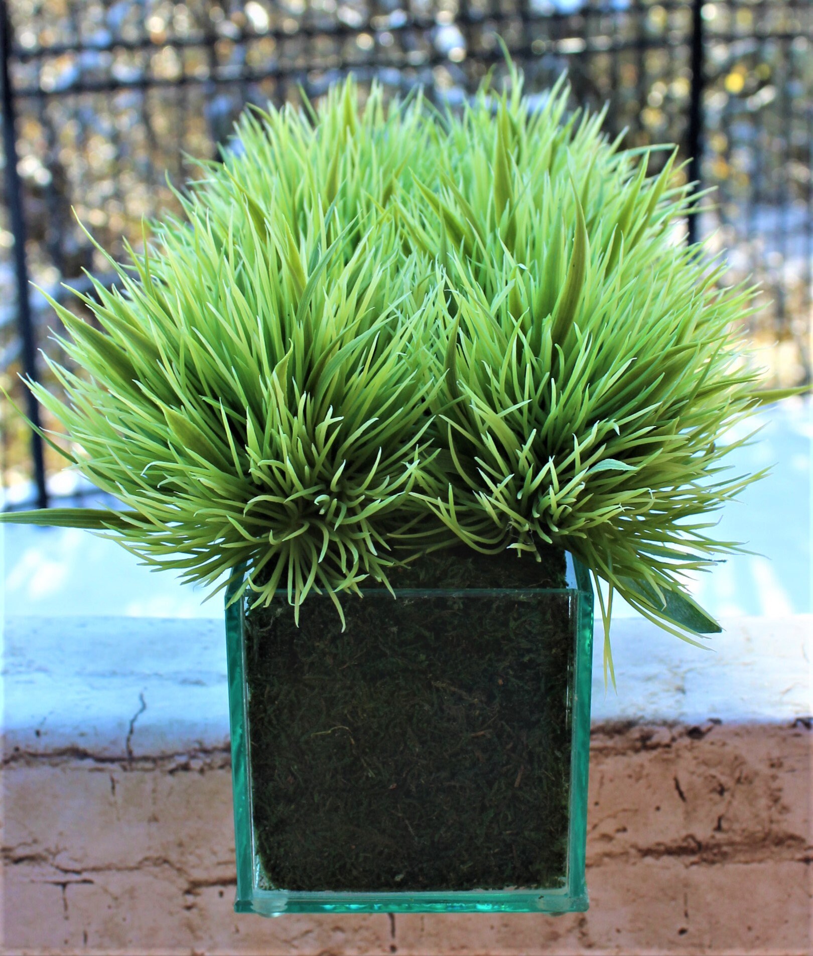 Césped Verde Artificial Contemporáneo Moderno Organizado en un | Etsy