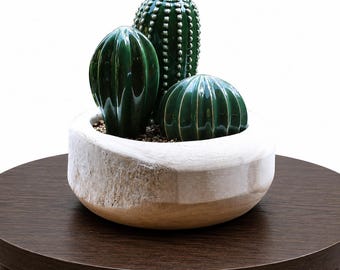 Ceramic Cactus Planted in a Hand-Carved Whitewashed Paulownia Wood Vessel