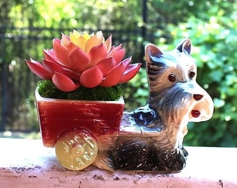 Vintage Scottish Terrier Planter with Artificial Echeveria Succulent, Scotty Dog Decor