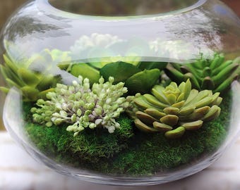 Faux Succulent Terrarium, Preserved Moss, Black Metal Stand
