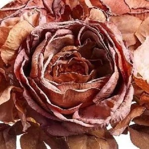 3 Piece Chocolate Brown Silk Roses & Hydrangea Stems - Fall Floral Decor