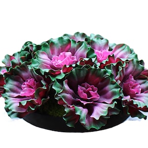 May include: A decorative floral arrangement featuring vibrant, layered blooms. The flowers showcase a gradient of colors, with deep pink centers transitioning to purple and green edges. The arrangement is set in a black, round container, creating a striking contrast.