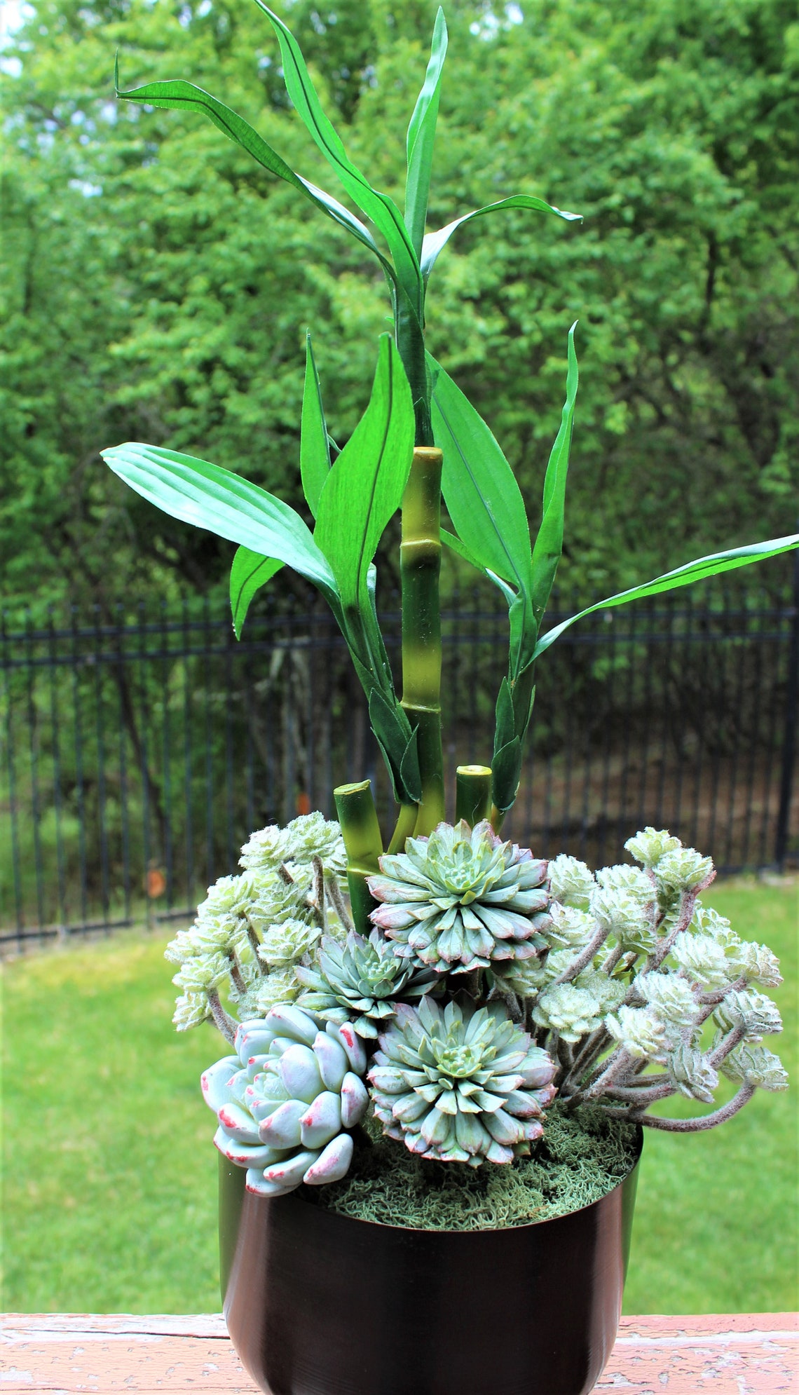 Artificial Lucky Bamboo and Succulents Planted in Etsy