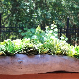 May include: A long, horizontal planter shaped like a piece of weathered driftwood, filled with an assortment of artificial succulent plants in various shades of green, including rosette-shaped varieties and spiky, needle-like foliage.