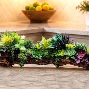 May include: A long, horizontal piece of dark brown driftwood serves as a planter for an arrangement of artificial succulents. The plants feature various shades of green, yellow, and deep purple, with textures ranging from spiky to rounded leaves.