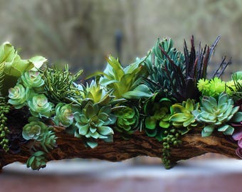 Artificial Succulents and Driftwood Log Centerpiece