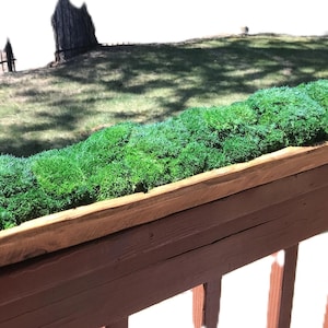 38” Long Preserved Pillow Moss Centerpiece in a Wood Dough Bowl, Moss Tabletop Decor
