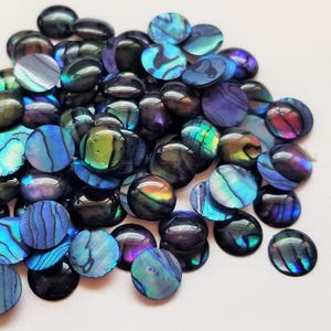 Pequeño azul Paua Abalone Cabochon, Colorido azul Abulón Concha de mar Cabujones, 8mm Cabujones, Pequeños Cabochones de Concha
