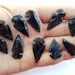 see more listings in the Fossils & Arrowheads section