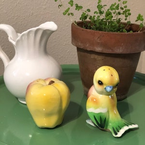 Vintage Ceramic Salt and Pepper Shakers