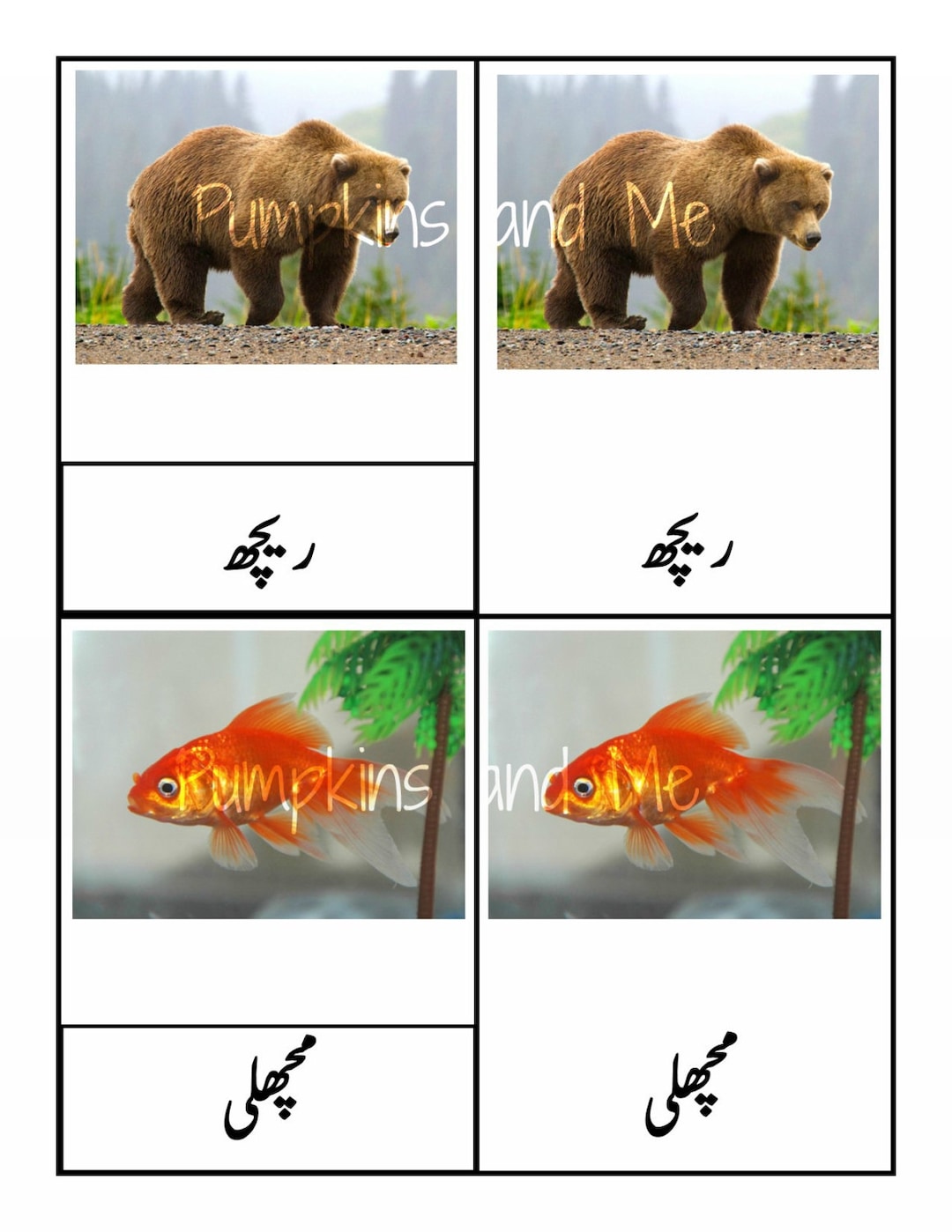 Urdu Language Learning / Homeschooling Printables / Urdu Instant