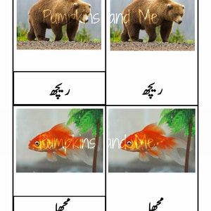 urdu language learning homeschooling printables urdu