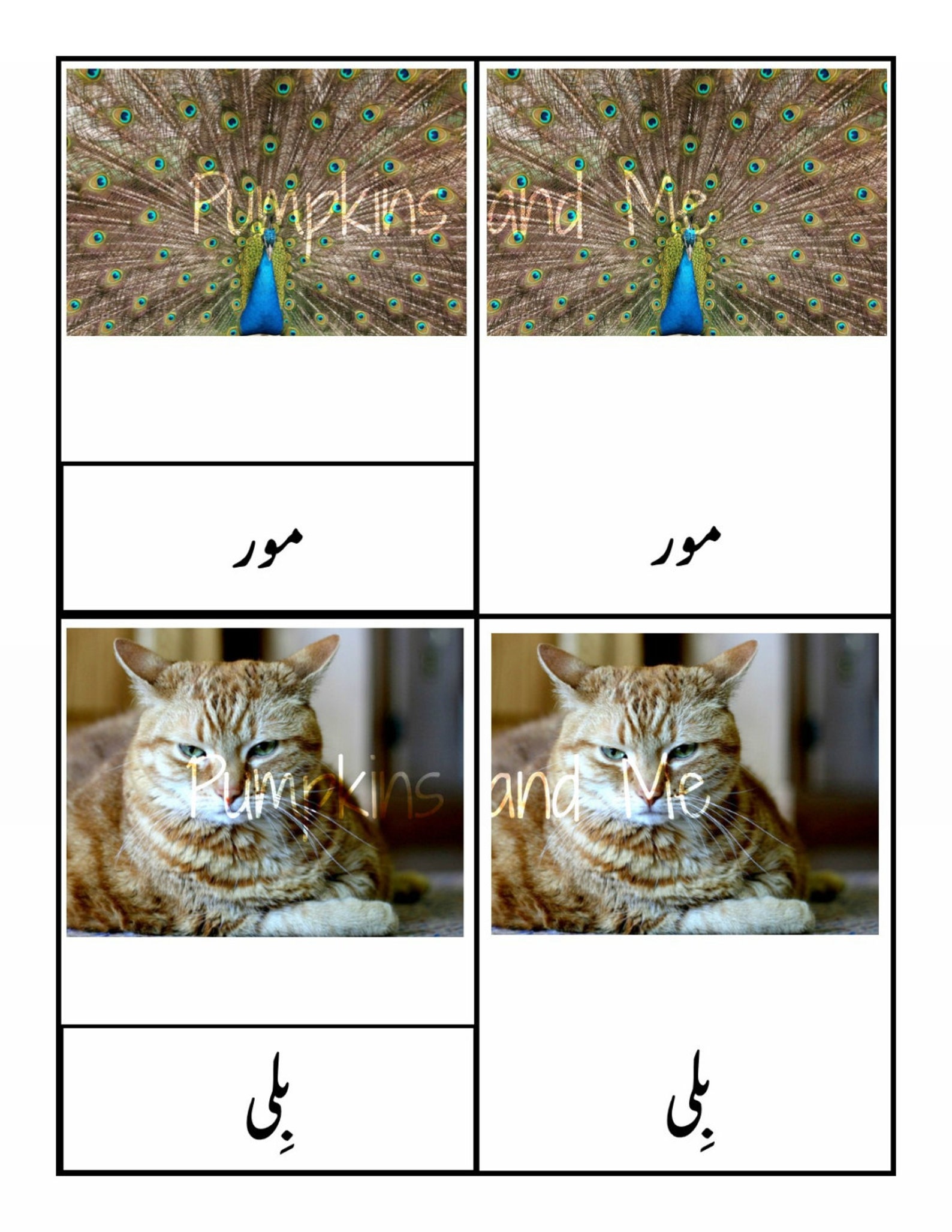 urdu language learning homeschooling printables urdu etsy