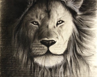 Custom Hand Drawn Portrait- Animal, One Face